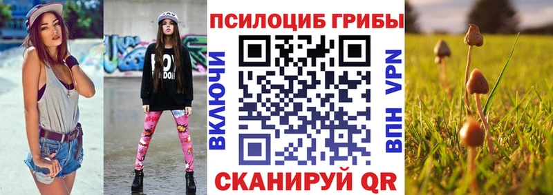 где купить наркоту  Коммунар  Псилоцибиновые грибы мицелий 